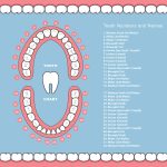 Teeth-Numbering.jpg