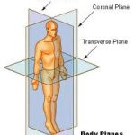 CoronalSagittalViews