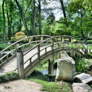 SPONSORED Bridging Course - FULL COURSE